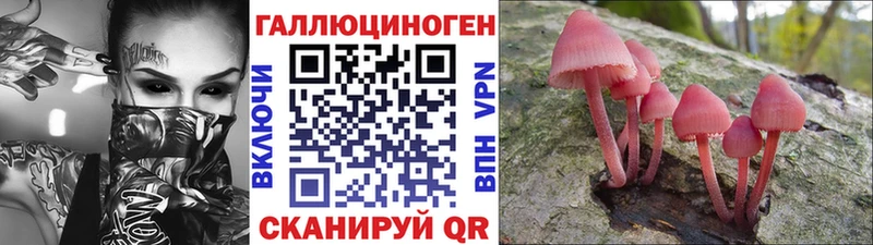 Псилоцибиновые грибы MAGIC MUSHROOMS  где можно купить наркотик  Артёмовский 
